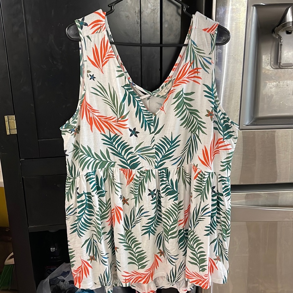 Sleeveless Terra & Sky plus size top
